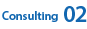 Consulting 02