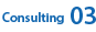 Consulting 03