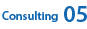 Consulting 05