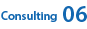 Consulting 06